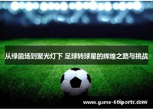 从绿茵场到聚光灯下 足球转球星的辉煌之路与挑战